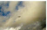 Stampe-6.jpg (20042 octets)