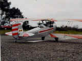 Stampe-8.jpg (43180 octets)