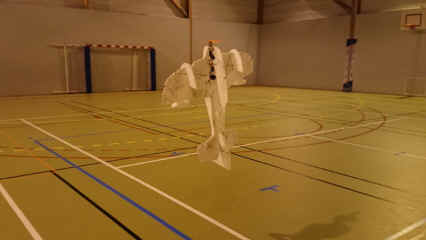 Indoor091218-06.jpg (114393 octets)