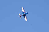 Verger080907-07.jpg (55564 octets)