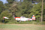 Verger080907-24.jpg (100856 octets)