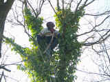 entretienTerrain190305-5.JPG (236306 octets)