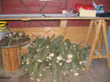 entretienTerrain190305-8.jpg (180688 octets)
