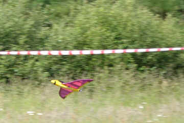 Xelio-020618-40.jpg (278674 octets)