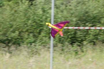 Xelio-020618-41.jpg (306697 octets)