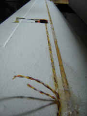 Atlas-AileInstallationServos-03.JPG (210321 octets)