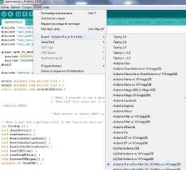 ArduinoChoixBoardArduinoProMini.jpg (290969 octets)