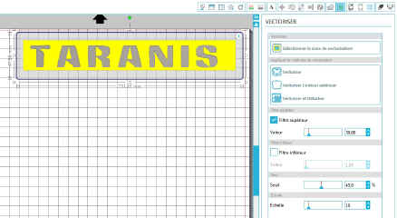SilhouetteVectorisationTaranis-2.jpg (236168 octets)