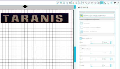 SilhouetteVectorisationTaranis-3.jpg (206752 octets)