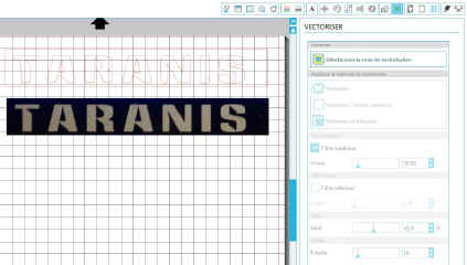 SilhouetteVectorisationTaranis-4.jpg (218681 octets)